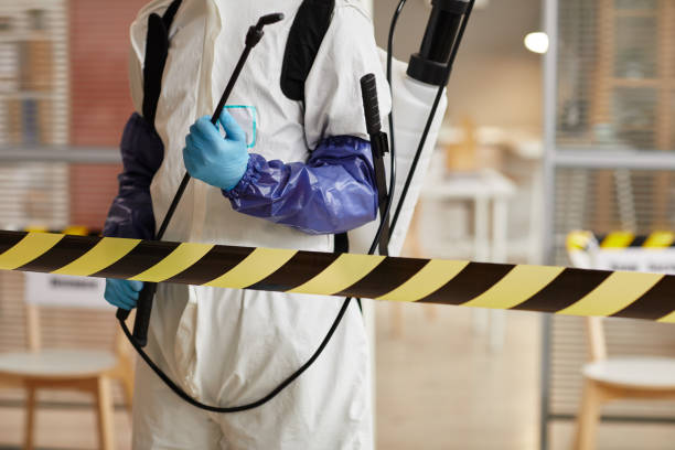 Professional Blood Cleanup technician working in Wallace, FL